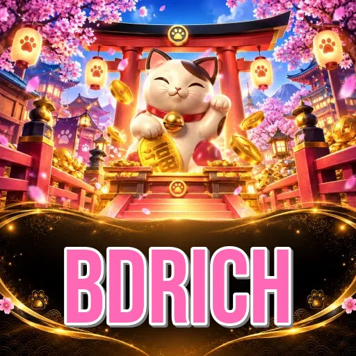 Screenshot 3 - bdrich Settings